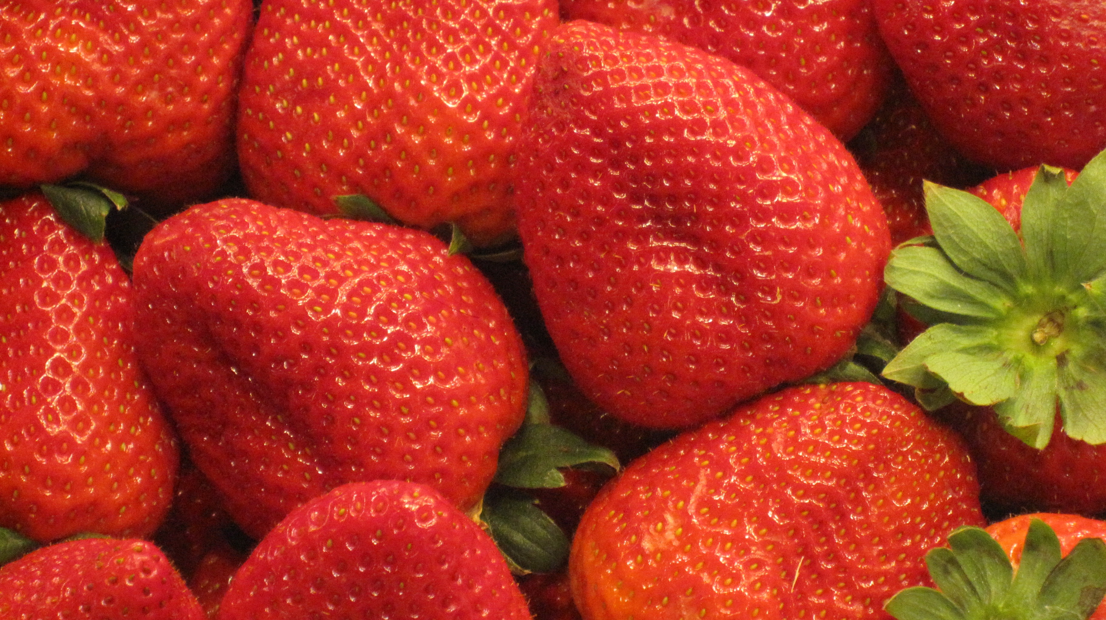 Paillez les fraisiers
