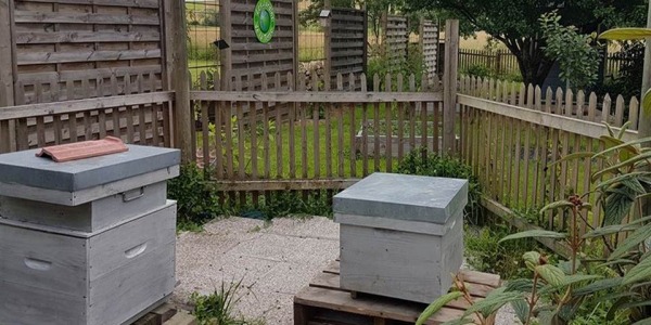 Une ruche au jardin