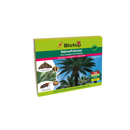 Anti-ravageur du Palmier - NémaPalmier