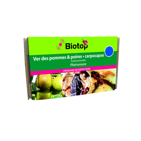 Anti-combo carpocapses, Phéromone