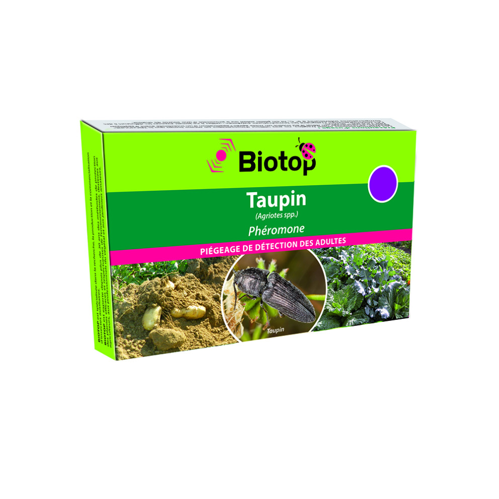 Anti-taupin, Phéromones Agriotes