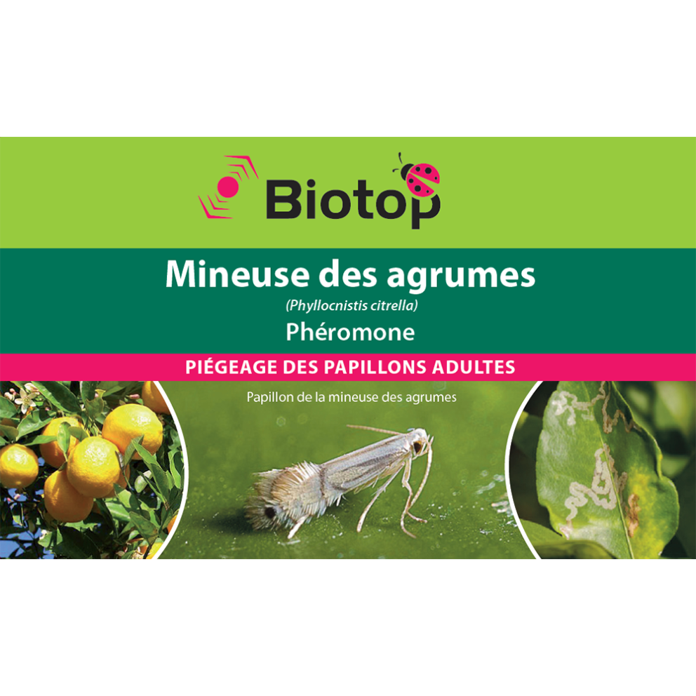 Anti-mineuse des agrumes, Phéromones