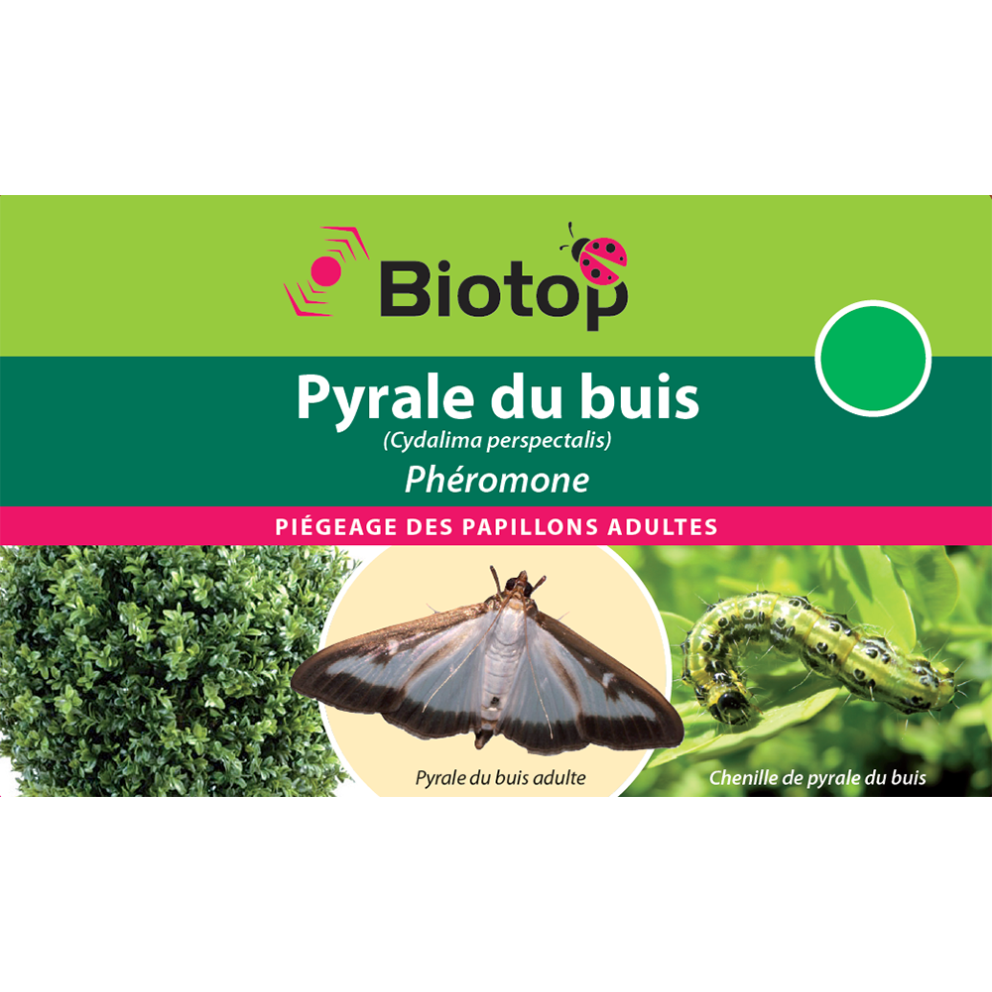 Anti-pyrale du buis, Phéromones 2 capsules