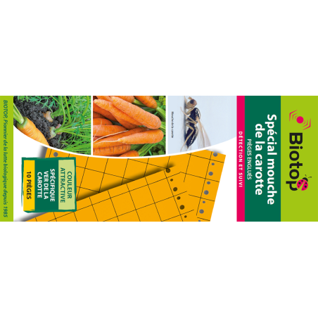 Piège englué orange  spécial mouche de la carotte, 25 cm x 10 cm