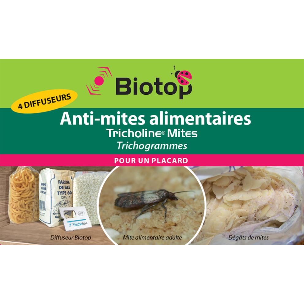 les mites alimentaires