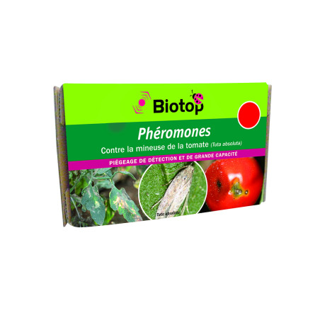 Anti-mineuse de la tomate - Phéromones Tuba Absoluta