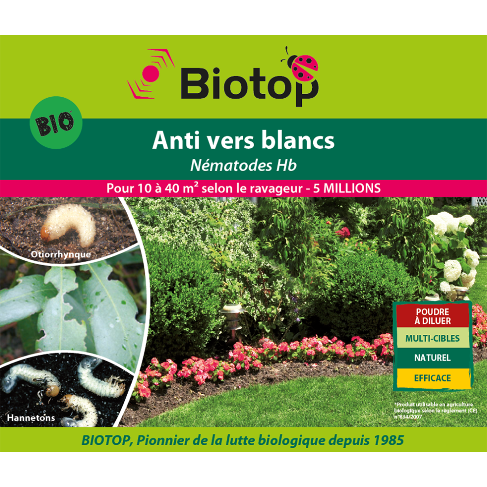 Anti-vers blancs - Nématodes HB Anti-vers blancs - Nématodes HB