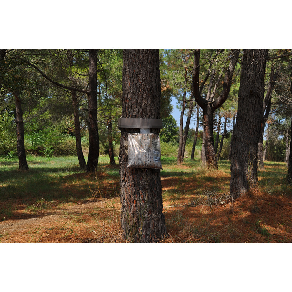 Piège à chenilles processionnaires du... Piège à chenilles processionnaires du...