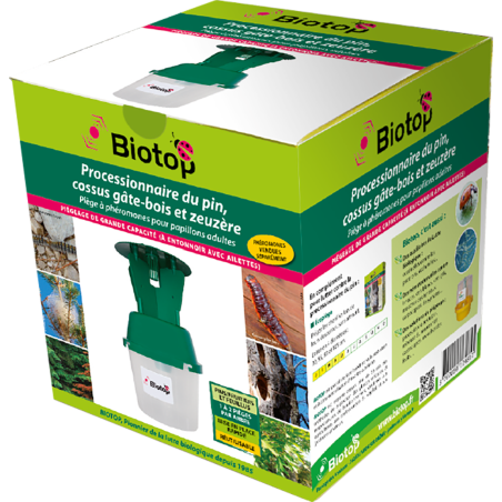 Piège à phéromones contre la chenille processionnaire du pin