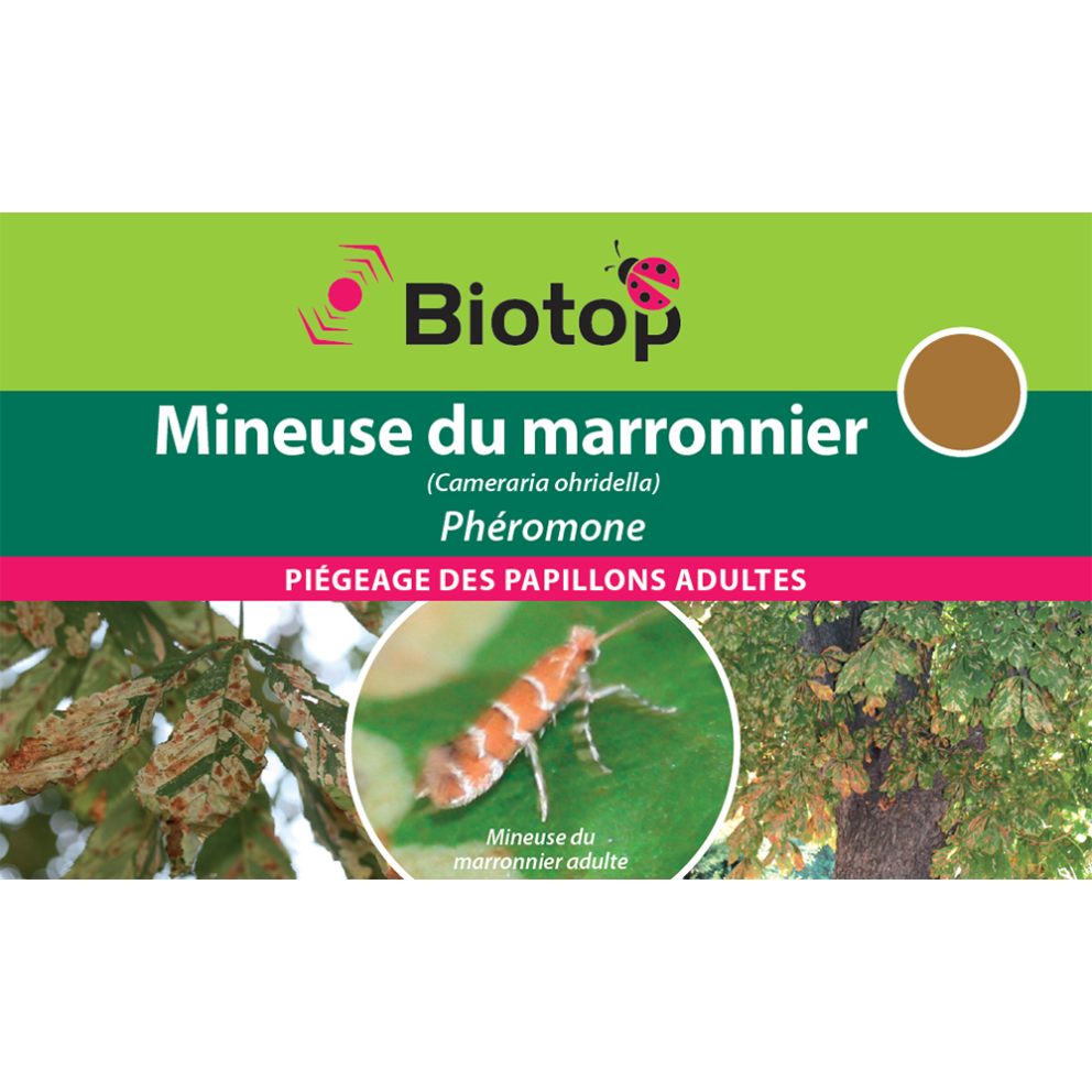 2 capsules pour pièges à phéromones contre la mineuse du marronnier