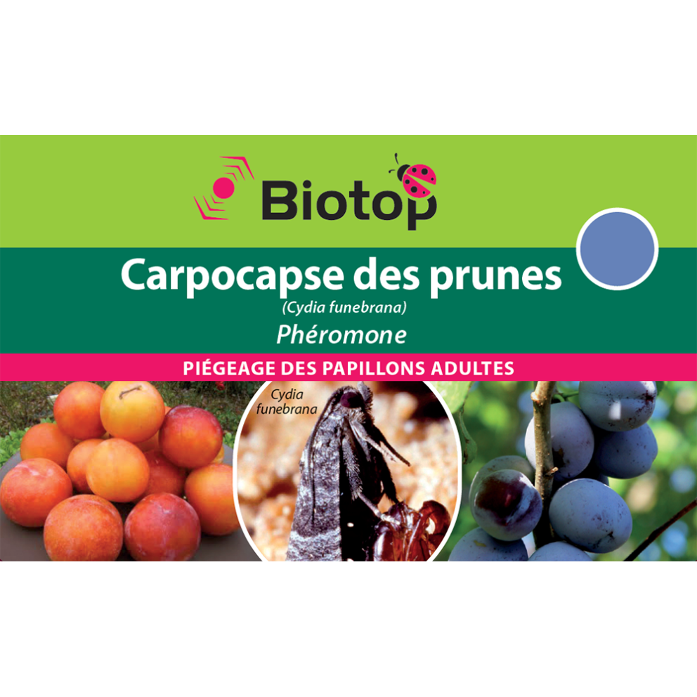 2 recharges pour pièges à phéromones Carpocapse des Prunes