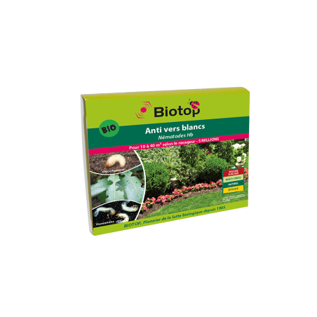 Nématodes anti-vers blanc
