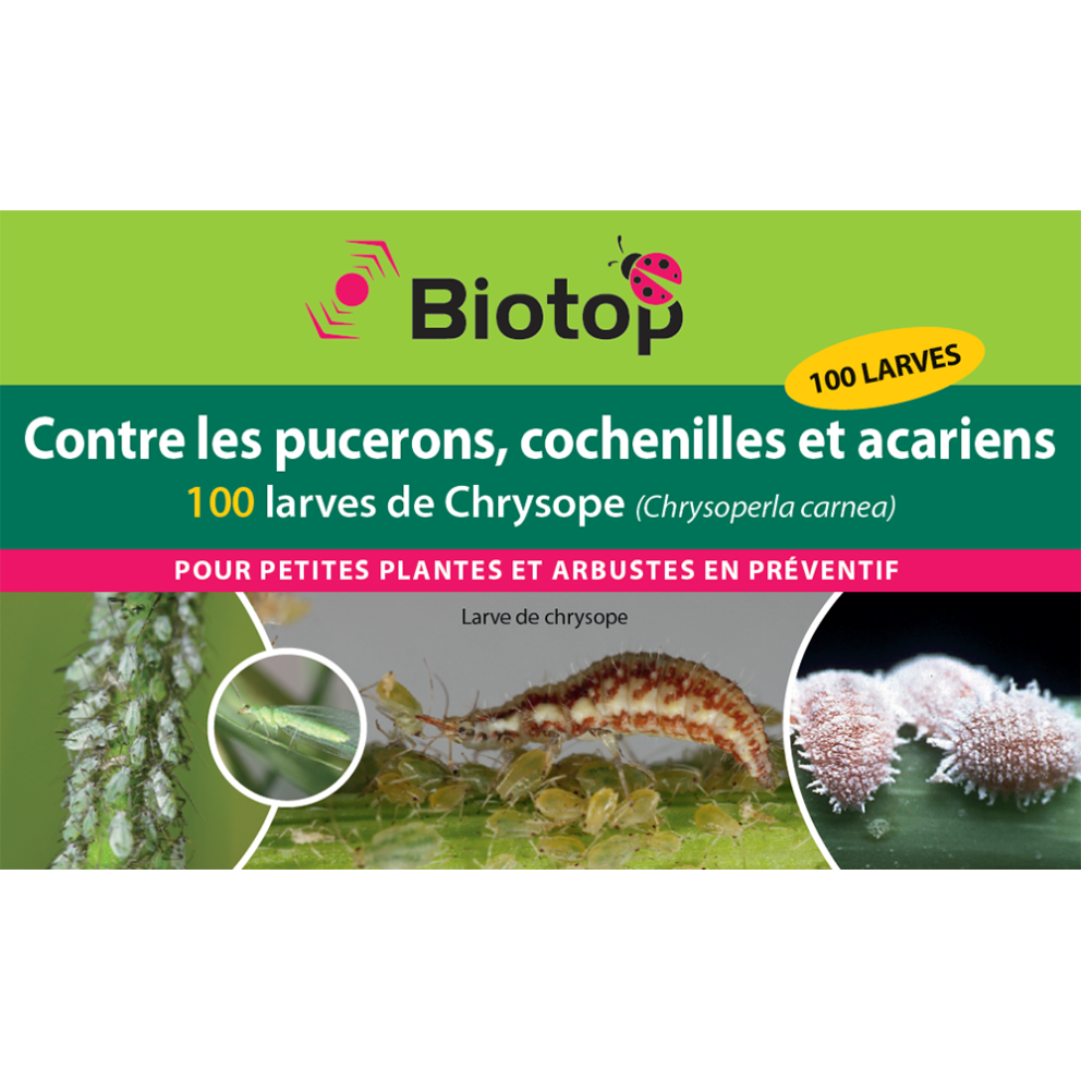 Anti-pucerons pour plantes basses-... Anti-pucerons pour plantes basses-...