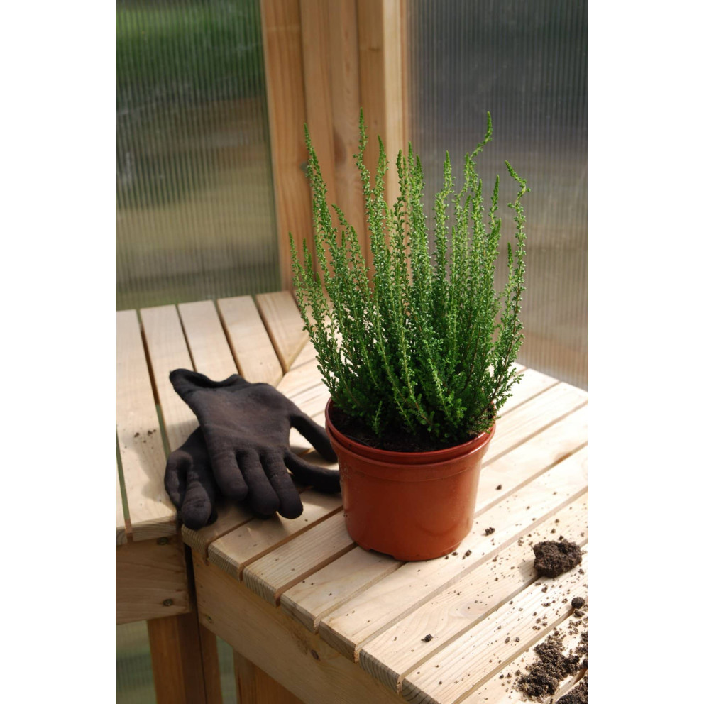 Serre en bois au style édouardien Serre en bois au style édouardien