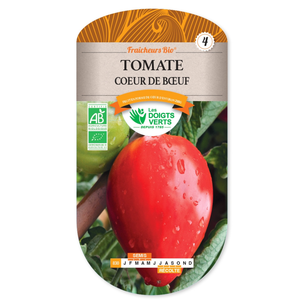 Graines de Tomates 'Coeur de Boeuf'