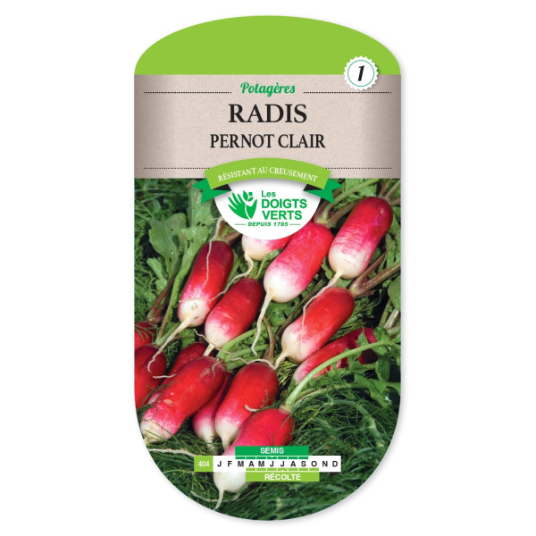 Graines de Radis Pernot clair