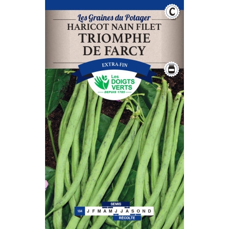 Graines d'Haricots nains 'Triomphe de Farcy'