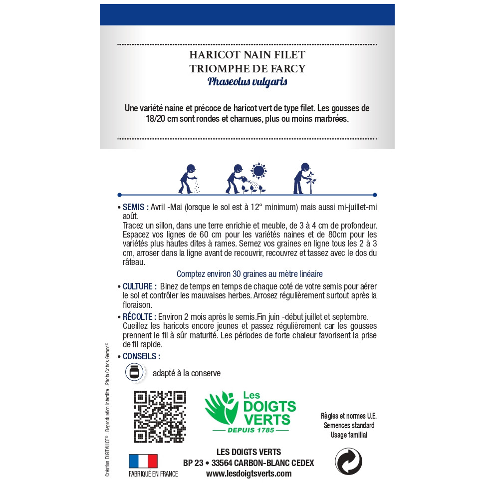 Graines d'Haricots nains 'Triomphe de... Graines d'Haricots nains 'Triomphe de...