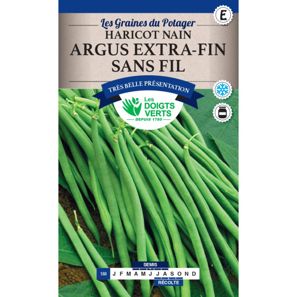 Graines d'haricots nains Argus