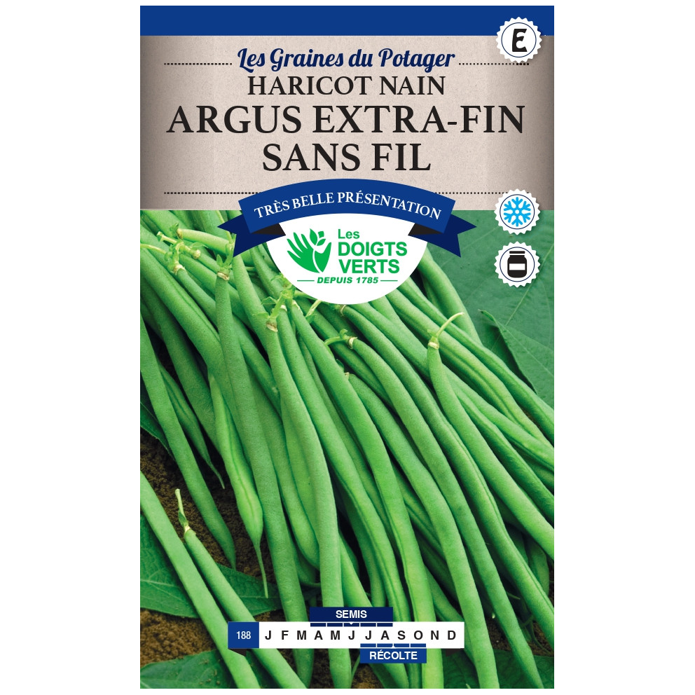 Graines d'haricots nains Argus