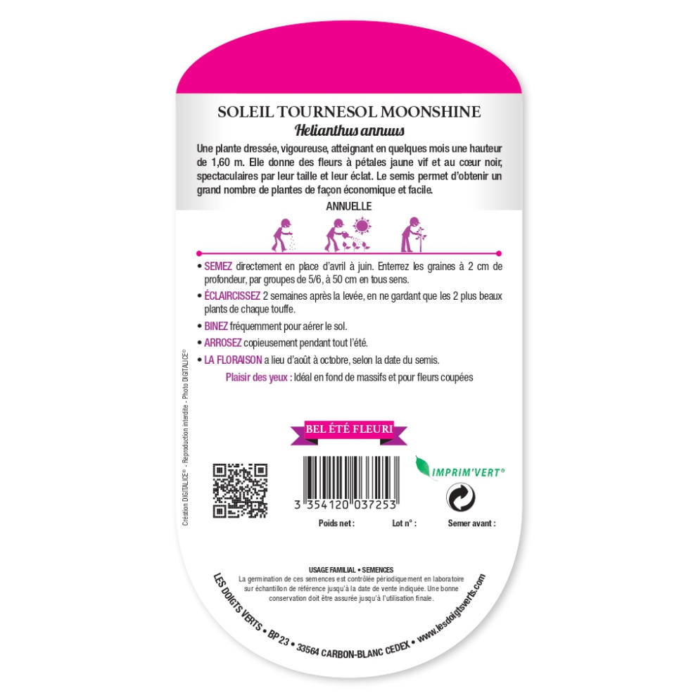Graines de Tournesol 'Moonshine' -...