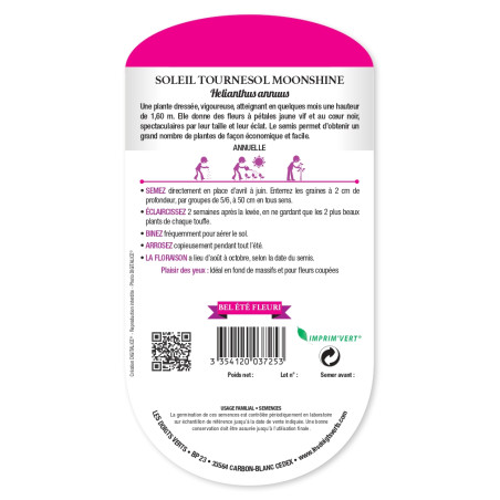 Graines de Tournesol 'Moonshine' - Soleil