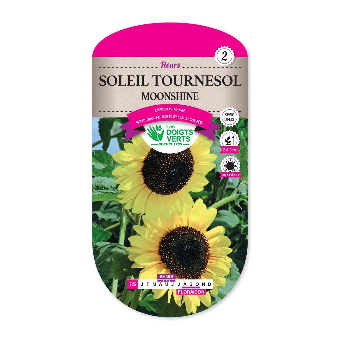 Graines de Tournesol 'Moonshine' - Soleil