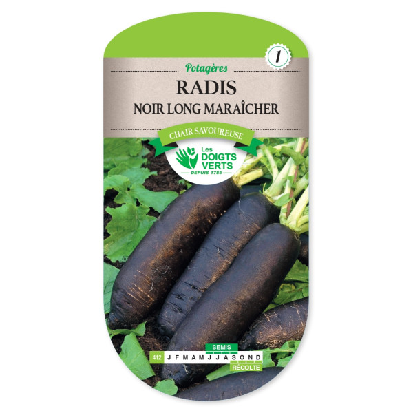 Graines de Radis noir long