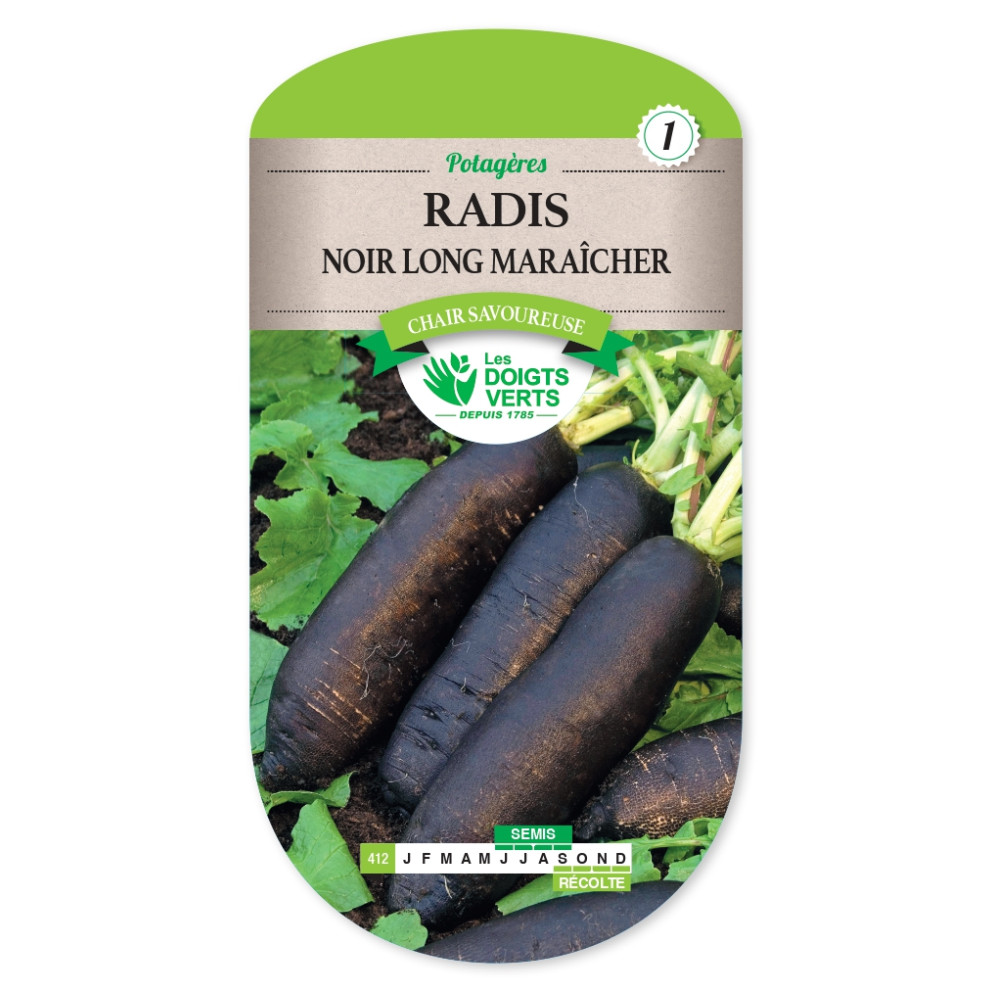 Graines de Radis noir long