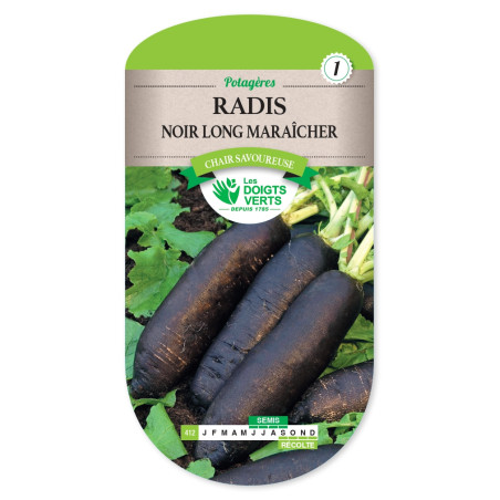 Graines de Radis noir long