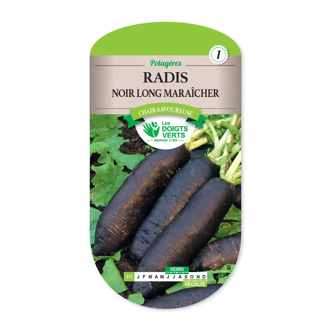 Graines de Radis noir long