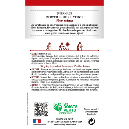 Graines de pois nain Merveille de Kelvedon
