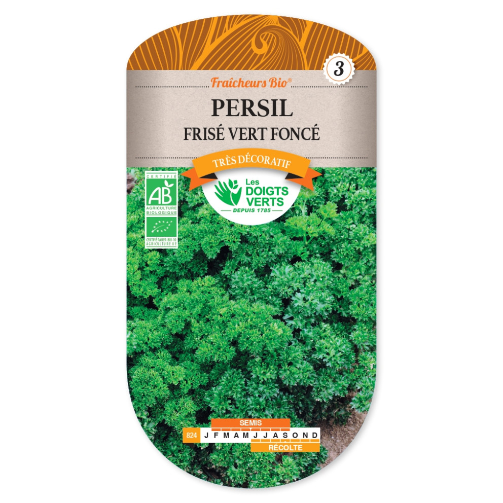 Graines de Persil vert foncé