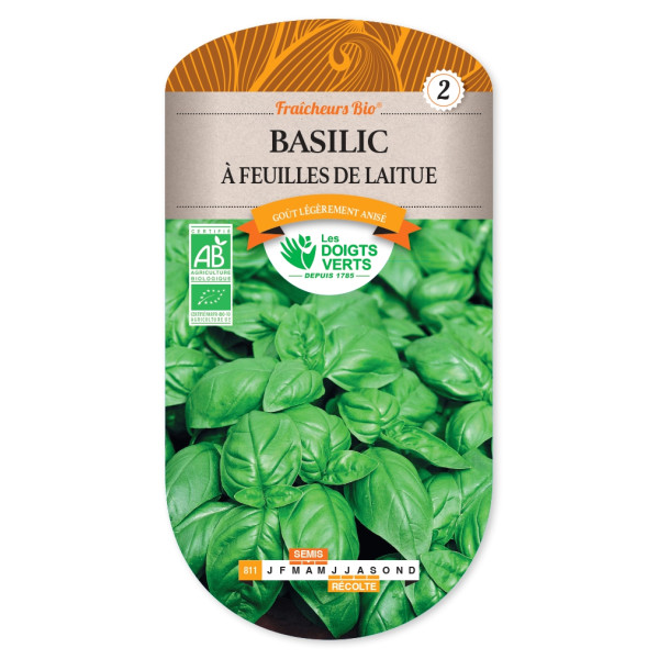 Graines de Basilic à...