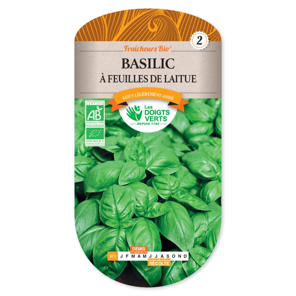 Graines de Basilic à feuilles de laitues - Bio