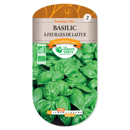 Graines de Basilic à feuilles de laitues - Bio