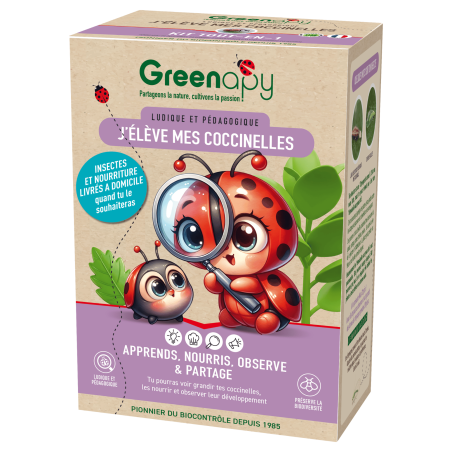 Kit pédagogique d'élevage de Coccinelles