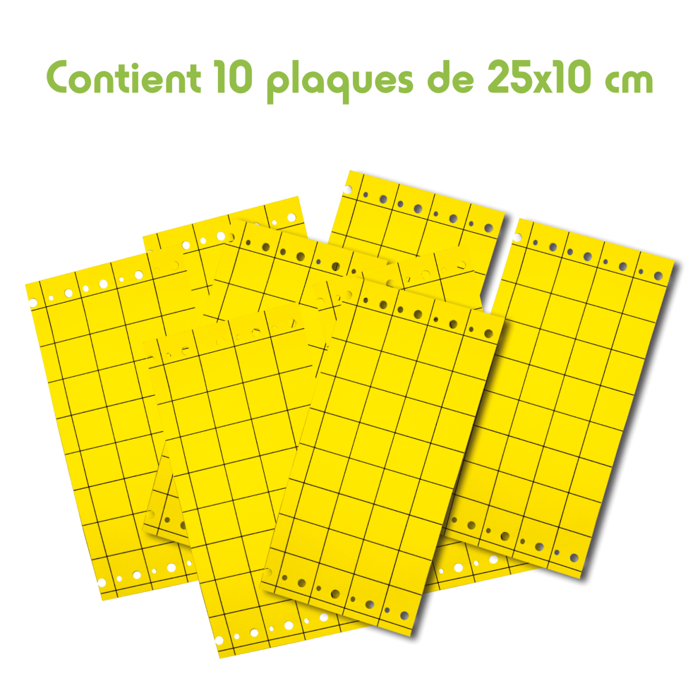 Piège englué, 25cm x 10cm