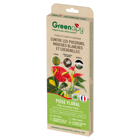 Piège floral englué pour plantes d'intérieur
