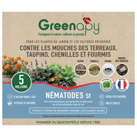 Anti-fourmis - Nématodes SF pour 5 fourmilières