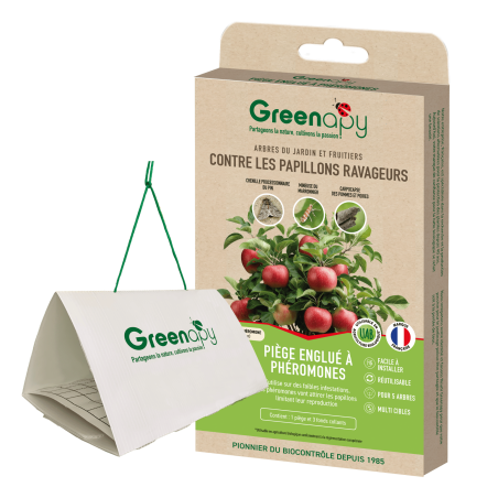 Piège Delta pour de nombreux insectes
