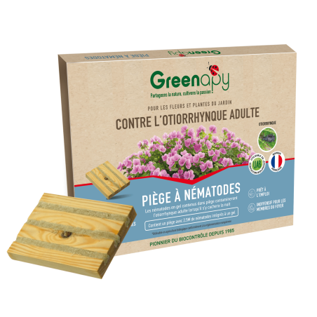 Piége à Othiorrhynques adultes - Nématodes  Steinernema sur plaque