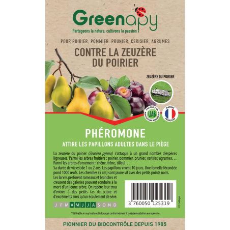 Anti-zeuzère du poirier - Phéromones Zeuzera Pyrina
