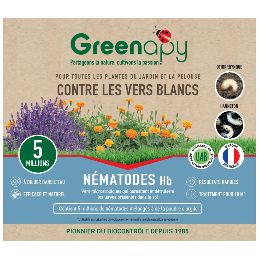 Anti-vers blancs - Nématodes HB