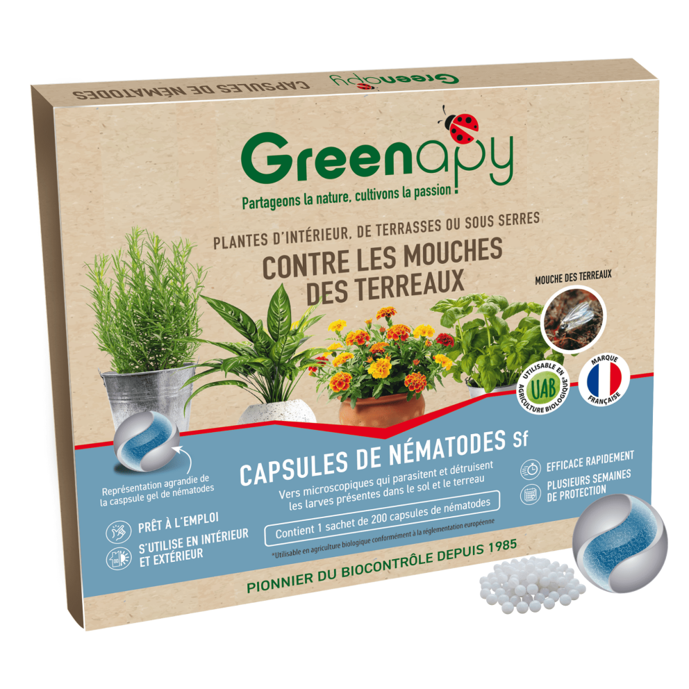 Nématodes SF contre les mouches du...