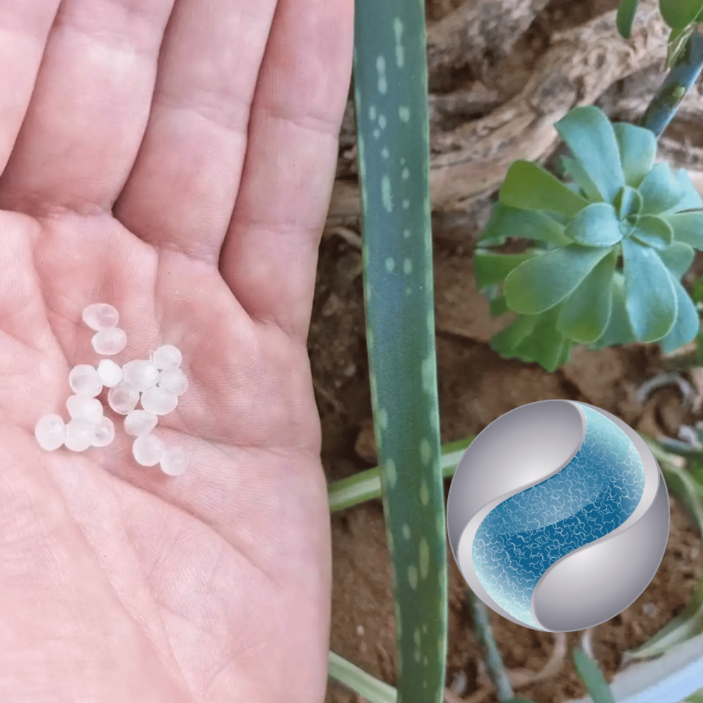 Nématodes SF contre les mouches du...