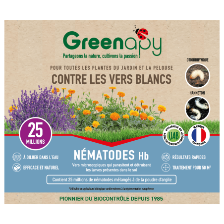 Nématodes anti-vers blanc