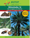 Anti-ravageurs du Palmier - NémaPalmier jusqu'à 5 arbres