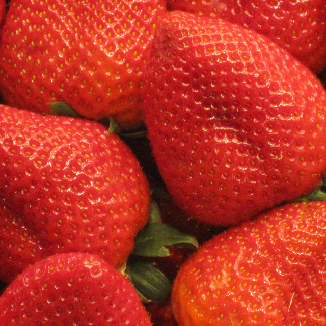 les fraisiers