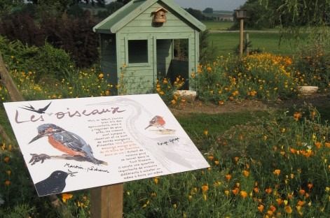 Les mangeoires à oiseaux